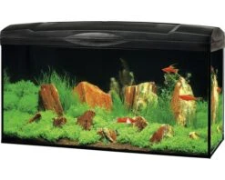 MARINA Aquarium LED Zwart 54 L, 60x30x30 Cm