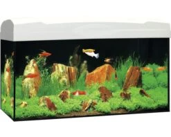 MARINA Aquarium LED Wit 54 L, 60x30x30 Cm