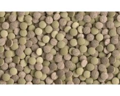 TETRA Plantastart 12 Tabletten 5 TETRA Plantastart 12 Tabletten -Huisdierenaquarium Winkel DV 8 2218680 03 4c DE 20180530180955