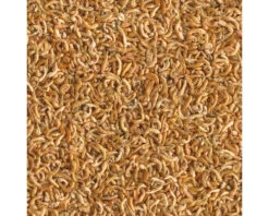 TETRAFAUNA Gammarus 250ml -Huisdierenaquarium Winkel DV 8 2219003 03 4c CZ 20221026081651