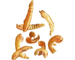 TETRAFAUNA Gammarus 250ml -Huisdierenaquarium Winkel DV 8 2219003 04 4c CZ 20221026074800