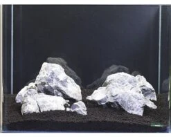 DENNERLE Waterplantenpakket XS 18 DENNERLE Waterplantenpakket XS -Huisdierenaquarium Winkel DV 8 4614268 04 4c DE 20190124111659