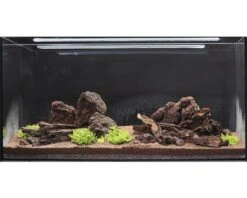 DENNERLE Waterplantenpakket L 16 DENNERLE Waterplantenpakket L -Huisdierenaquarium Winkel DV 8 4614270 09 4c DE 20181023194659