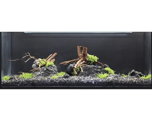 DENNERLE Waterplantenpakket XL 2 DENNERLE Waterplantenpakket XL - Afbeelding 2