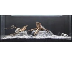 DENNERLE Waterplantenpakket XL 14 DENNERLE Waterplantenpakket XL -Huisdierenaquarium Winkel DV 8 4614271 10 4c DE 20181023194659