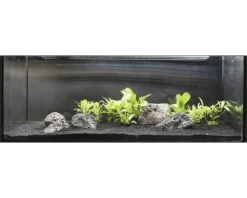 DENNERLE Waterplantenpakket XXL 13 DENNERLE Waterplantenpakket XXL -Huisdierenaquarium Winkel DV 8 4614272 10 4c DE 20190123074659