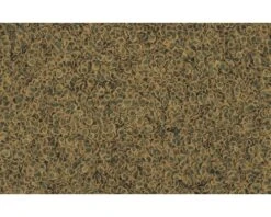 TETRA Pro Algae 100 Ml 5 TETRA Pro Algae 100 Ml -Huisdierenaquarium Winkel DV 8 5214606 05 4c DE 20180529221654