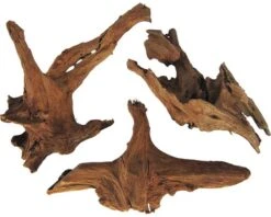 ORBIT Mangrove Wortel Nano Bruin 12-15 Cm