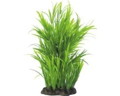 ORBIT Waterplant Kunststof DeLuxe M Groen Nr. 9