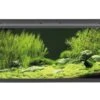 EHEIM Aquarium Aquaproled LED Zwart 180 L, 100x40x45 Cm