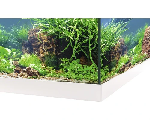 EHEIM Aquarium Aquastar LED Wit 54 L, 60x30x30 Cm 3 EHEIM Aquarium Aquastar LED Wit 54 L, 60x30x30 Cm - Afbeelding 3