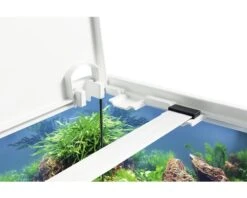 EHEIM Aquarium Aquastar LED Wit 54 L, 60x30x30 Cm 7 EHEIM Aquarium Aquastar LED Wit 54 L, 60x30x30 Cm -Huisdierenaquarium Winkel DV 8 6826637 02 4c DE 20180917051657
