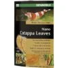 DENNERLE Nano Catappa Leaves 12 Stuks
