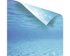 JUWEL Poster 2 XL -Huisdierenaquarium Winkel DV 8 8431341 05 4c DE 20180819204659