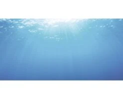 JUWEL Poster 2 XL -Huisdierenaquarium Winkel DV 8 8431343 03 4c DE 20180817104759