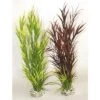 Aquaplant Wild Mountain Hoogte Ca. 39 Cm