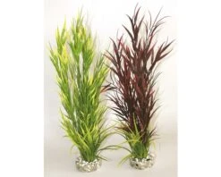 Aquaplant Wild Mountain Hoogte Ca. 39 Cm
