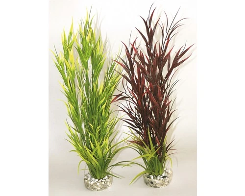 Aquaplant Wild Mountain Hoogte Ca. 39 Cm 1 Aquaplant Wild Mountain Hoogte Ca. 39 Cm