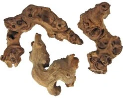 ORBIT Mangrove Wortel Savanne M Bruin 0,4-0,6 Kg